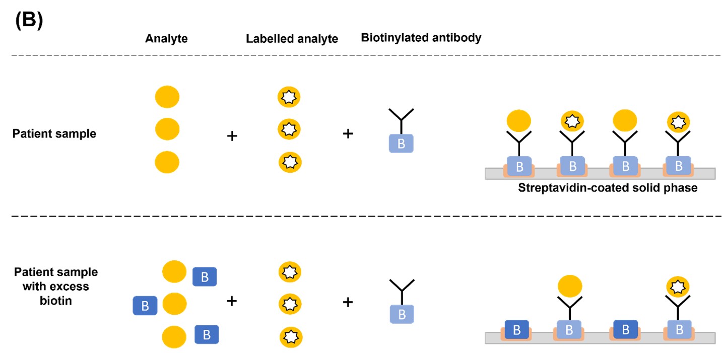 Biotin interference with thyroid function tests_2