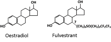 Figure 1 Chemical structure of oestradiol and fulvestrant